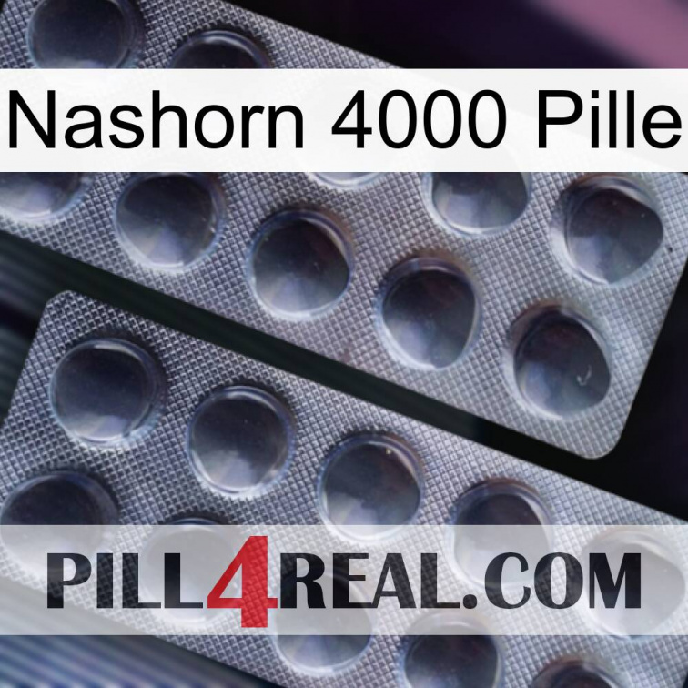 Rhino 4000 Pill 31